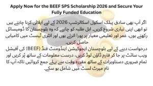 How to apply for BEEF SPS Scholarship 2026 step by step application guide