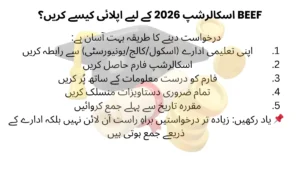 Step by step process to apply for BEEF Scholarship 2026 through school college or university in Pakistan