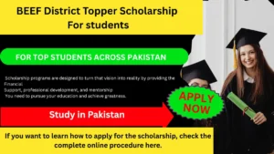 BEEF District Topper Scholarship 2026 apply now fully funded scholarship for Pakistani students